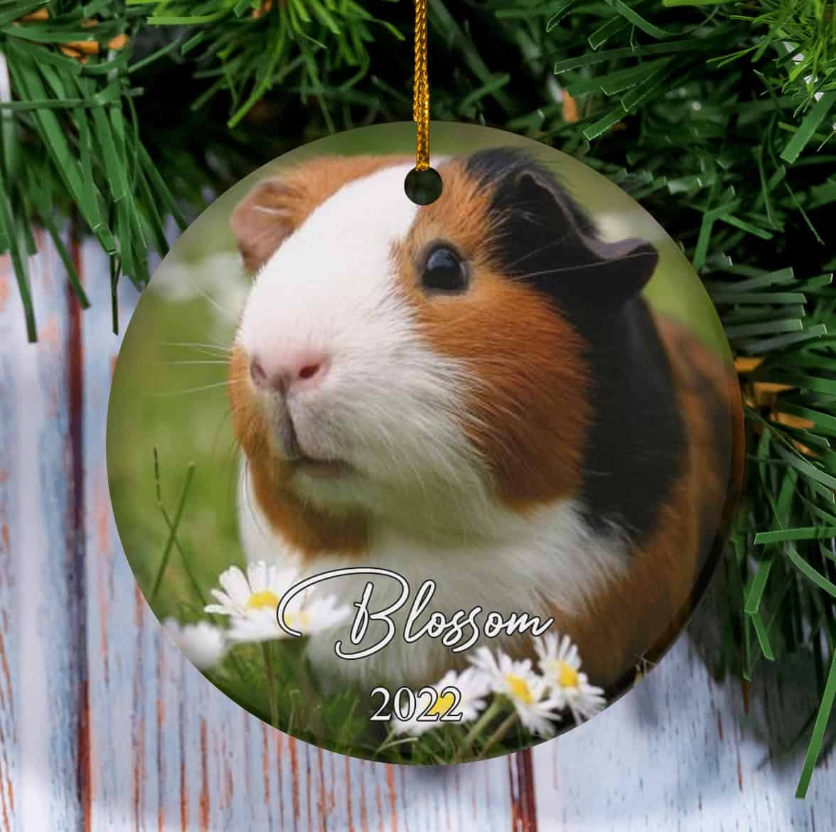 Personalized Custom Guinea Pig Christmas Ornament, Memorial Guinea Pig Gift  for Her, Guinea Pig Lover, Guinea Pig Mom, Gift for Daughter, Guinea Pig  Photo Ornament - Gearcustoms.com