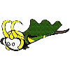 36