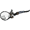37